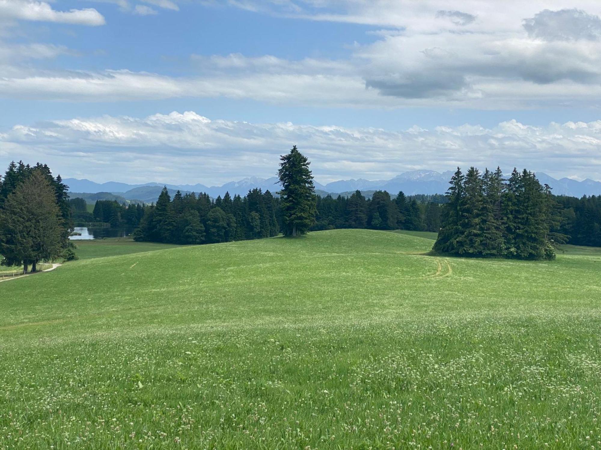 "Allgaeu-Herzl" Alpenchalet Fuer Zwei Ruckholz Екстериор снимка